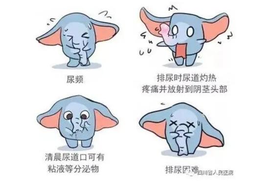 美国前总统拜登确诊前列腺癌,这个病可能由哪些原因导致的?普通人如何防范?