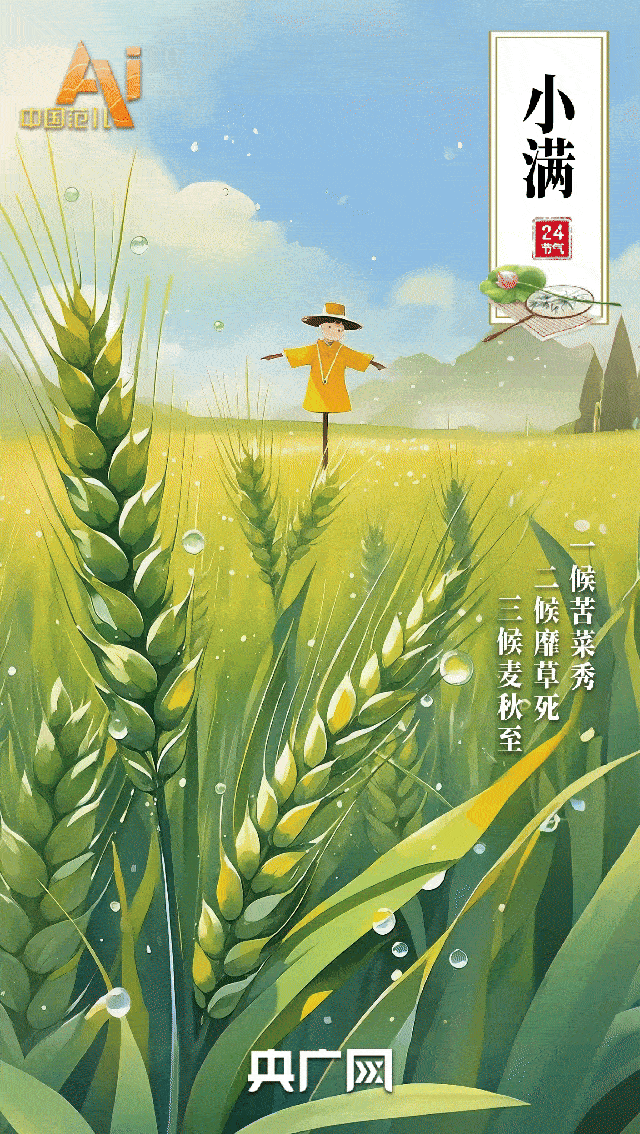 节气里的中国智慧｜今日小满！花开半夏，小满即安