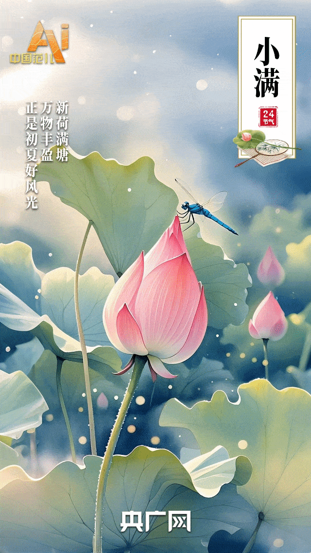 节气里的中国智慧｜今日小满！花开半夏，小满即安