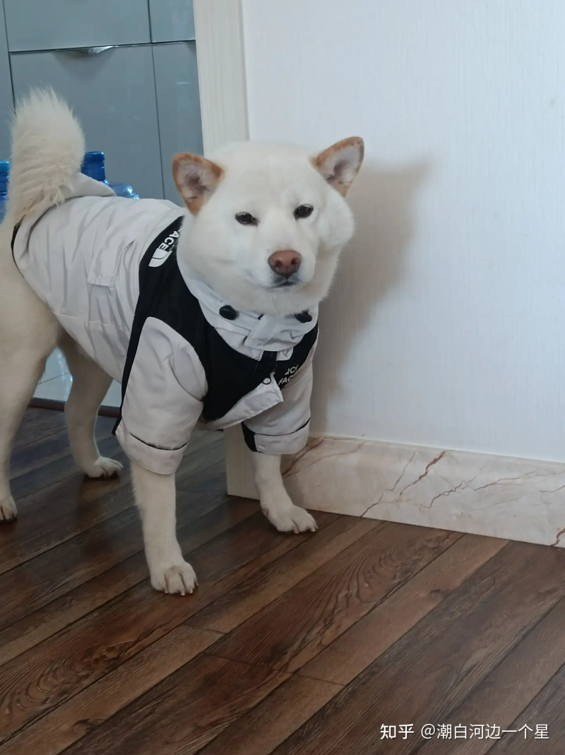 瞎扯 · 真正打动过你的一个设计是什么?