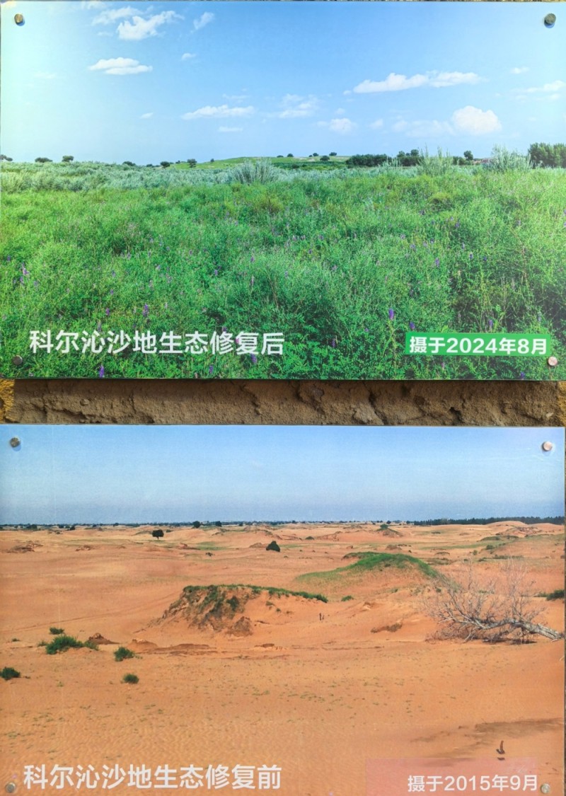 从“种子方舟”到生态修复奇迹 外国记者在中国被狠狠“种草”