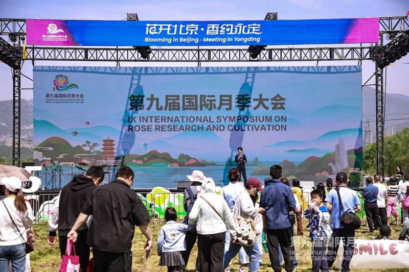 第九届国际月季大会今天开幕 千余品种月季争奇斗艳