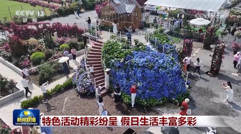 特色活动精彩纷呈 假日生活丰富多彩