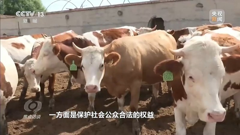 焦点访谈丨已有数万人被骗 起底“云养殖”里的骗局