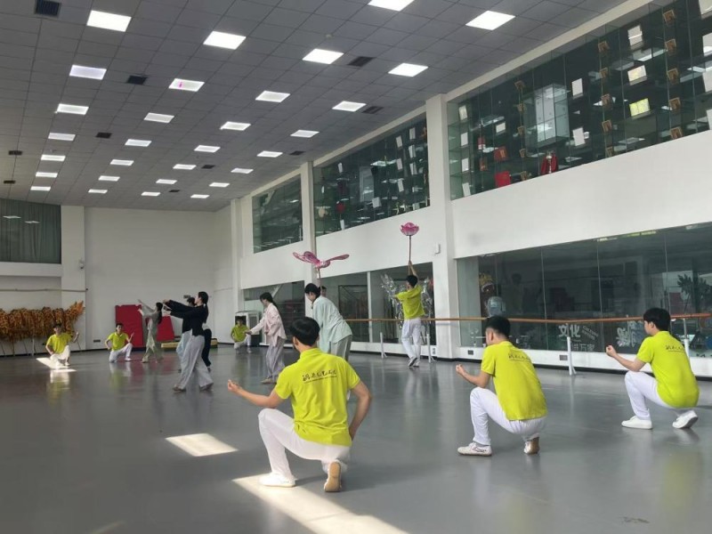 报效祖国 建功西部｜青春舞动非遗梦――重庆铜梁龙舞创新发展见闻