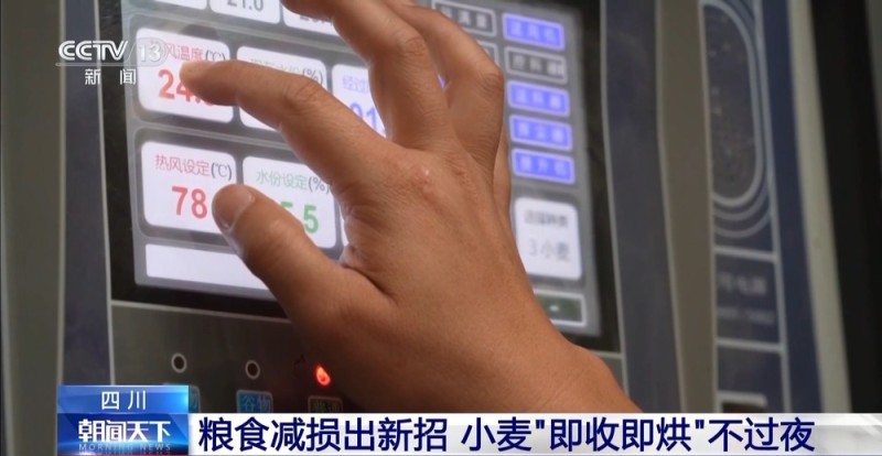 粮食减损出新招 小麦“即收即烘”不过夜