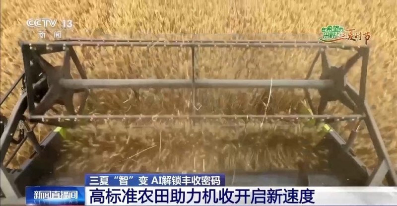 全国麦收进度已超两成 大马力农机+高标准农田跑出夏收新速度