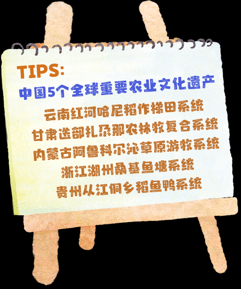 总台周看点丨自在，小满