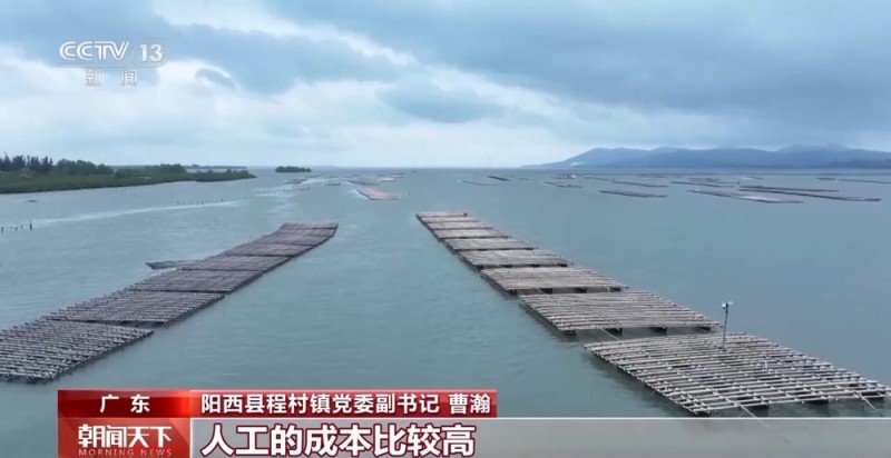 大市场 大活力｜“五一”假日餐桌海鲜热度揭秘 生蚝如何抢“鲜”出发？