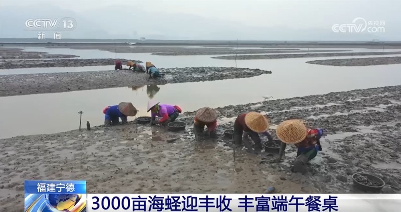 端午临近 节前消费市场活力涌动