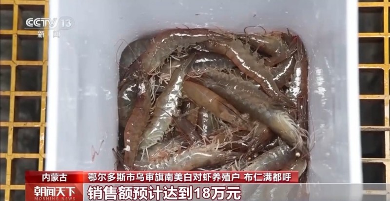 大市场 大活力｜“五一”假日餐桌海鲜热度揭秘 生蚝如何抢“鲜”出发？