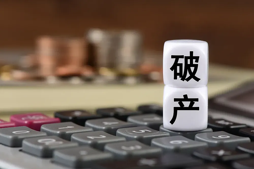 月薪4700负债2544万！女子申请破产，法院回应