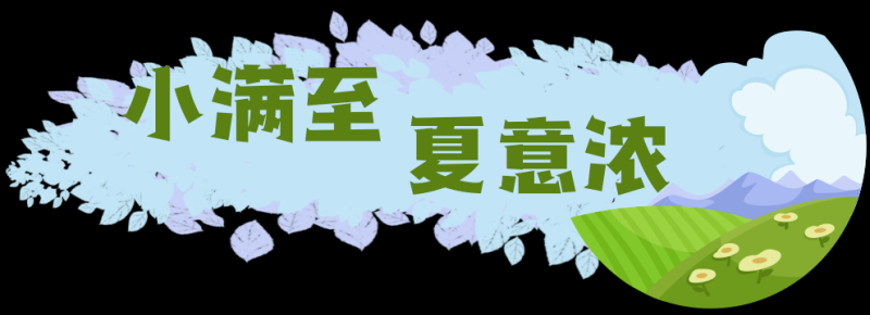 总台周看点丨自在，小满