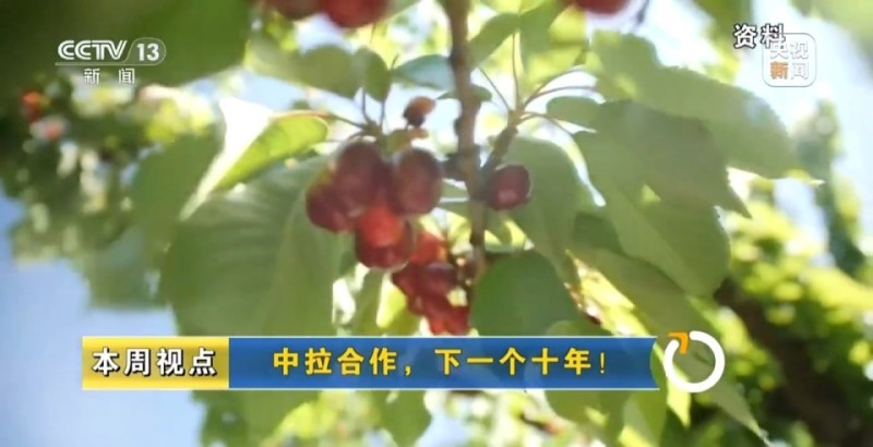 新闻周刊丨中拉合作，展望下一个十年