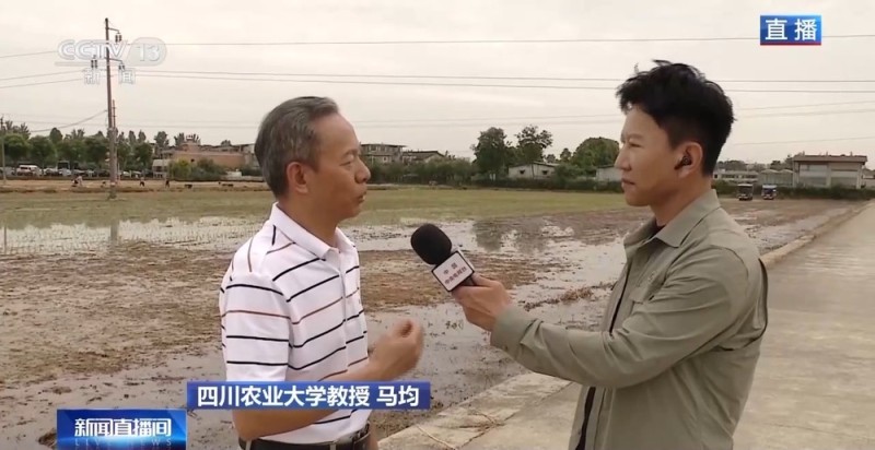 小麦也有“身份证” 丰收和播种在这里“同框”