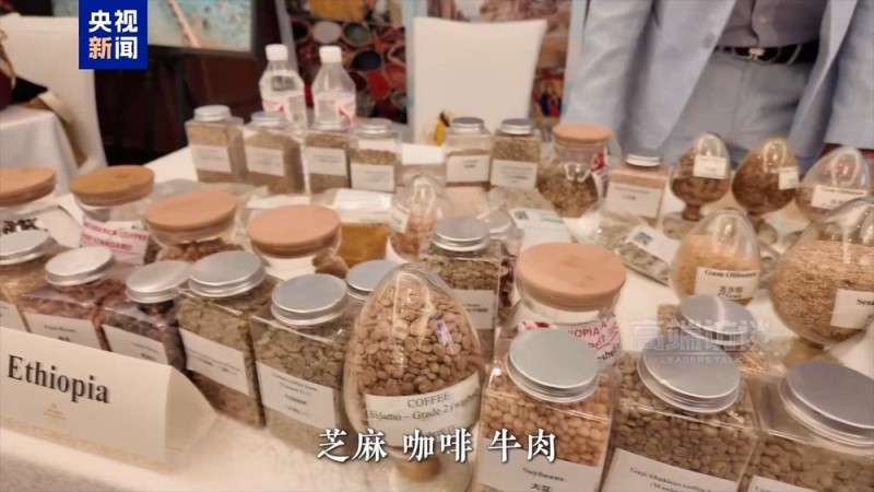 “非洲小象”北京奇遇：芝麻、咖啡和牛肉里的中非友谊