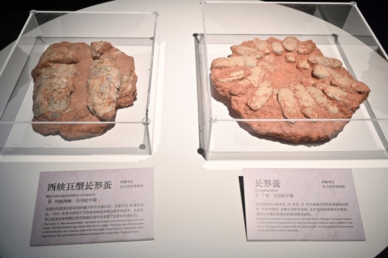 中国恐龙大展今日开幕，全国118件恐龙标本齐聚有何亮点？