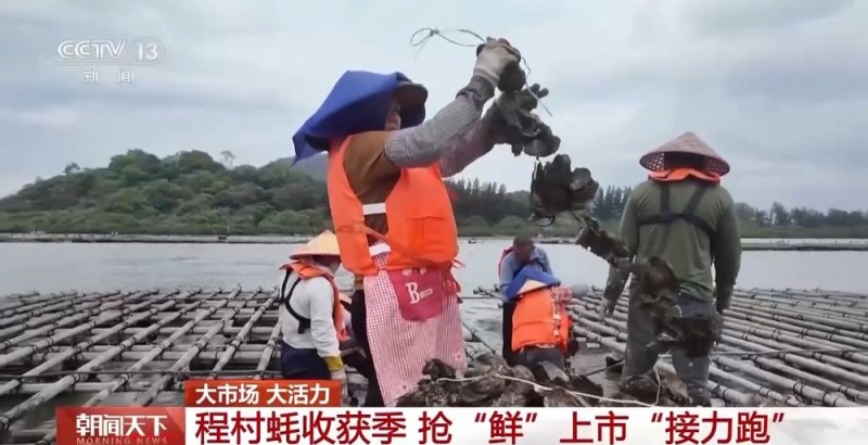 大市场 大活力｜“五一”假日餐桌海鲜热度揭秘 生蚝如何抢“鲜”出发？