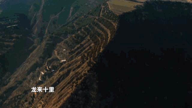 总台周看点丨自在，小满