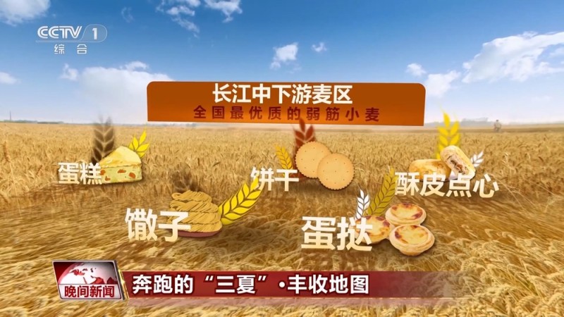 又到一年夏收季！全国丰收地图来了