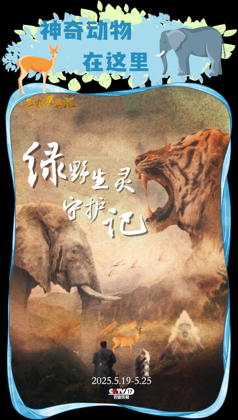 总台周看点丨自在，小满