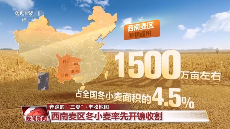 又到一年夏收季！全国丰收地图来了