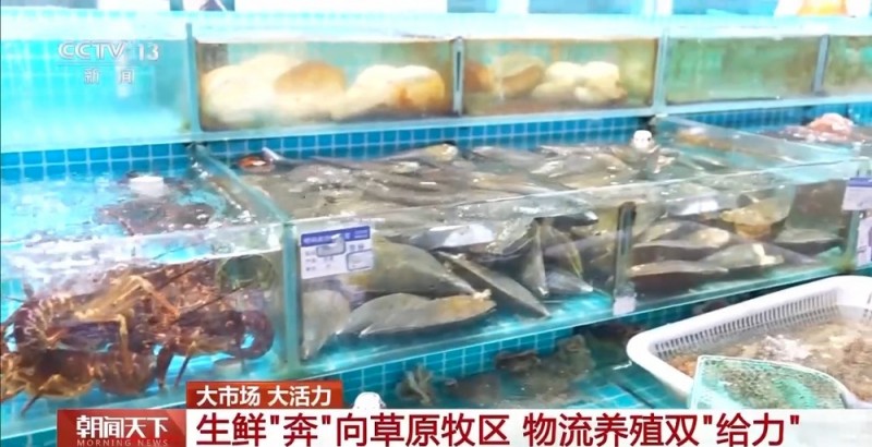大市场 大活力｜“五一”假日餐桌海鲜热度揭秘 生蚝如何抢“鲜”出发？