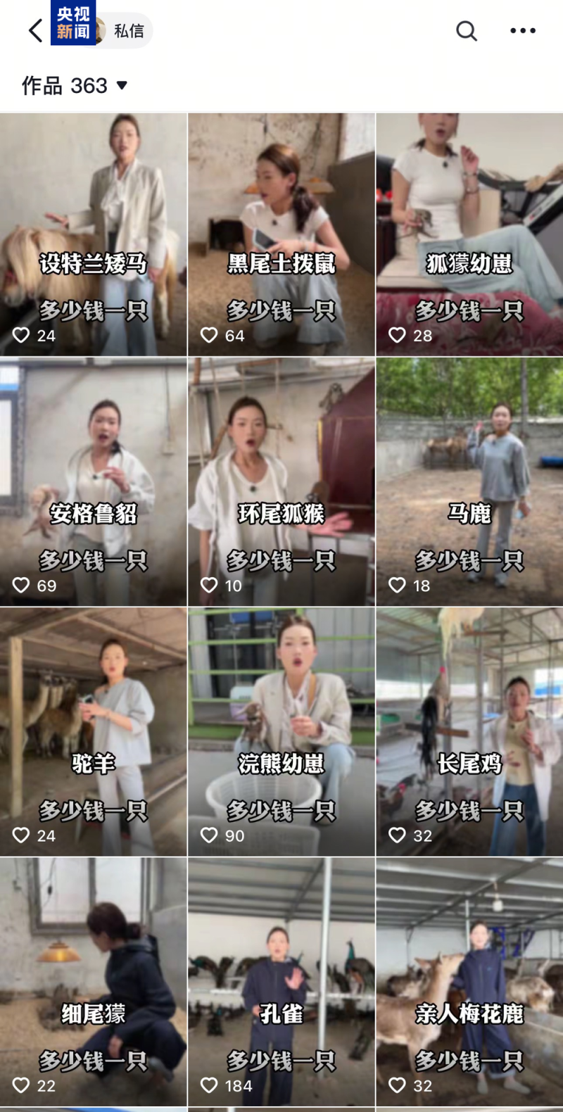 卡皮巴拉羊驼入驻商场写字楼 “萌宠馆”暗藏哪些隐患？