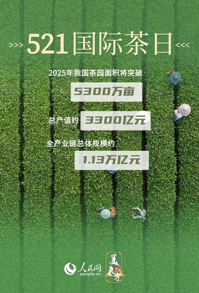 文化中国行 | 看"神奇绿叶"如何绽放经济文化双重光彩