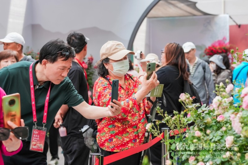 第九届国际月季大会今天开幕 千余品种月季争奇斗艳