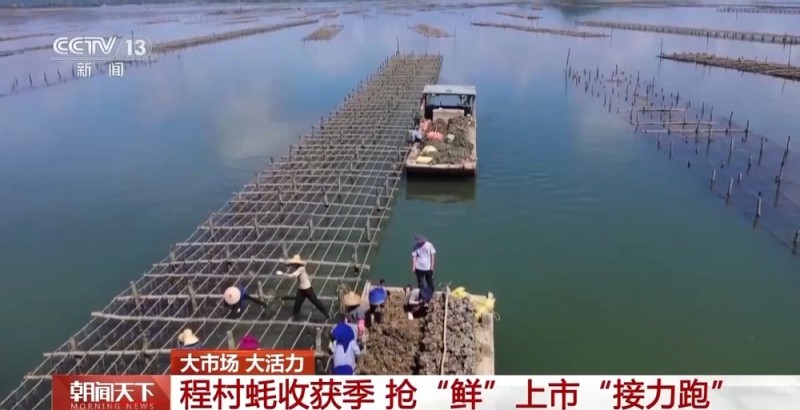 大市场 大活力｜“五一”假日餐桌海鲜热度揭秘 生蚝如何抢“鲜”出发？