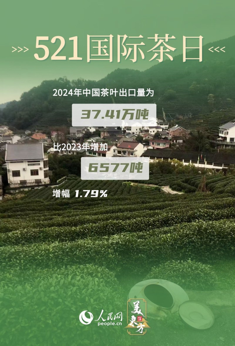 文化中国行 | 看"神奇绿叶"如何绽放经济文化双重光彩