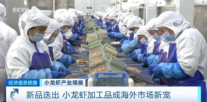 旺季来临销量明显增加  小龙虾加工品成海外市场新宠
