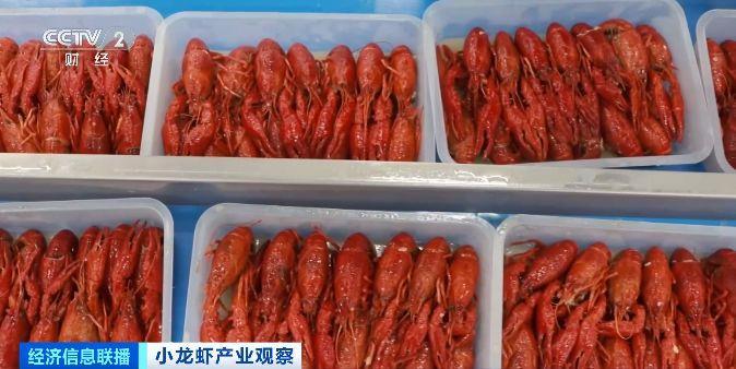 旺季来临销量明显增加  小龙虾加工品成海外市场新宠