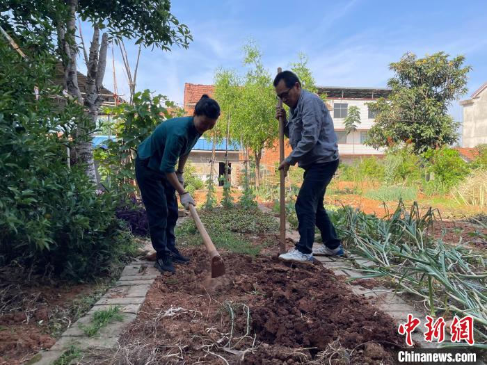 六旬台胞在鄂乐享田园生活：找到归心之所
