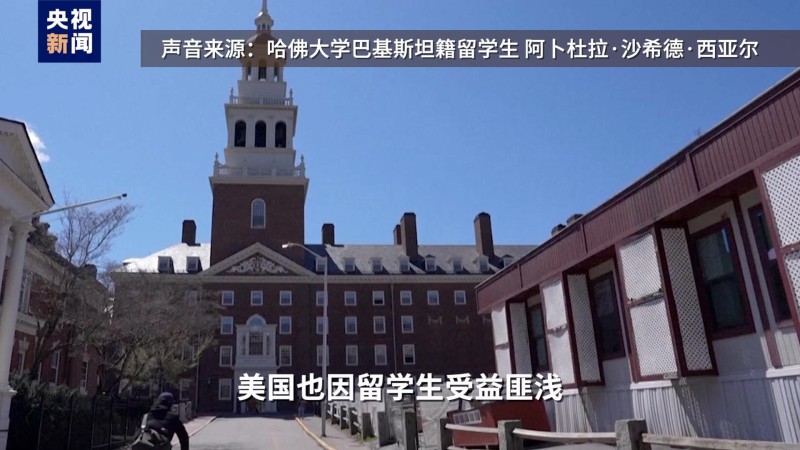 视评线丨2+2=？特朗普给哈佛出的题，白宫考砸了