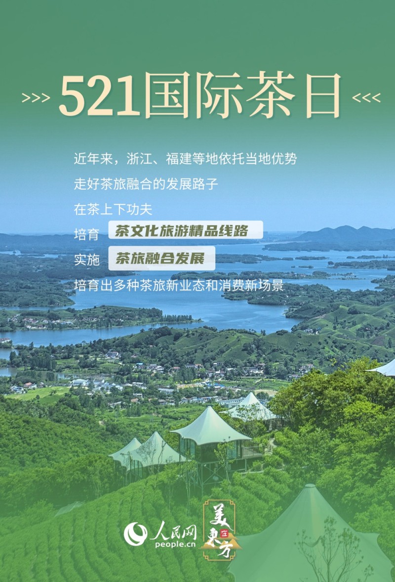 文化中国行 | 看"神奇绿叶"如何绽放经济文化双重光彩