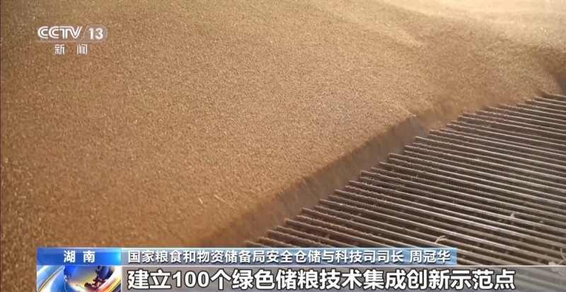 粮食减损出新招 小麦“即收即烘”不过夜