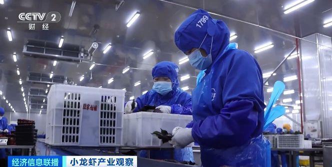 旺季来临销量明显增加  小龙虾加工品成海外市场新宠