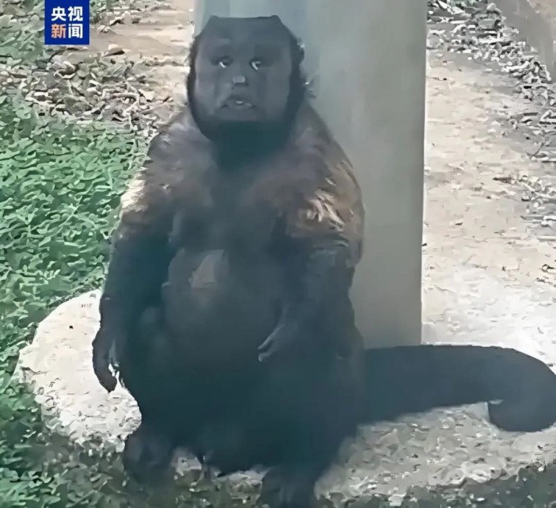 7点出发丨航班触地复飞，盘旋10多分钟！亲历者：不少人被晃吐了……