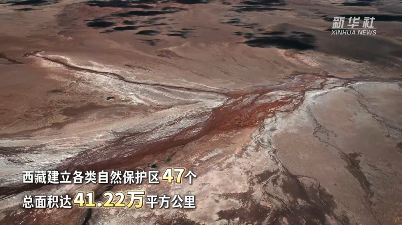 西藏和平解放74周年・生态有守护