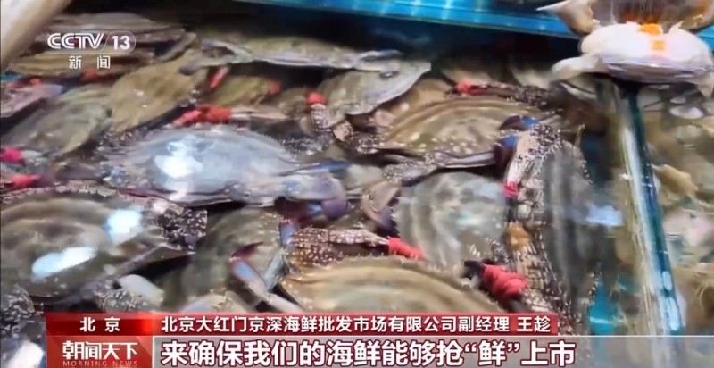 大市场 大活力｜“五一”假日餐桌海鲜热度揭秘 生蚝如何抢“鲜”出发？