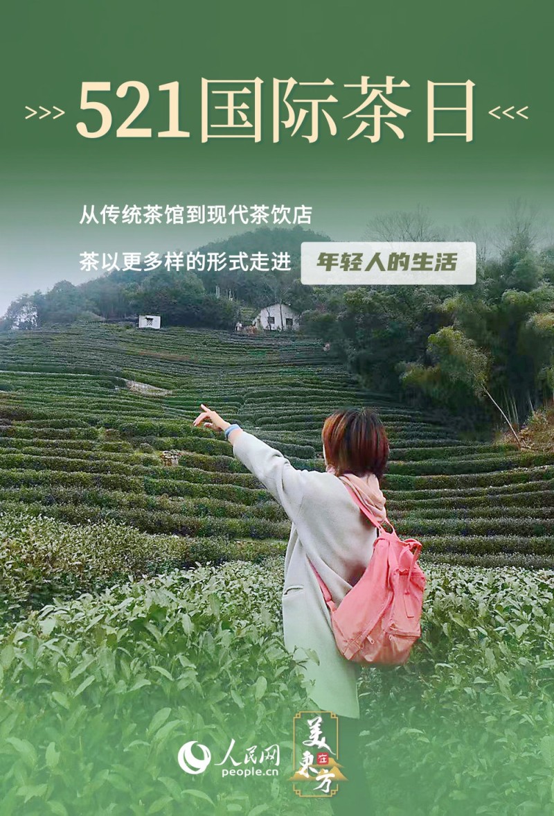 文化中国行 | 看"神奇绿叶"如何绽放经济文化双重光彩