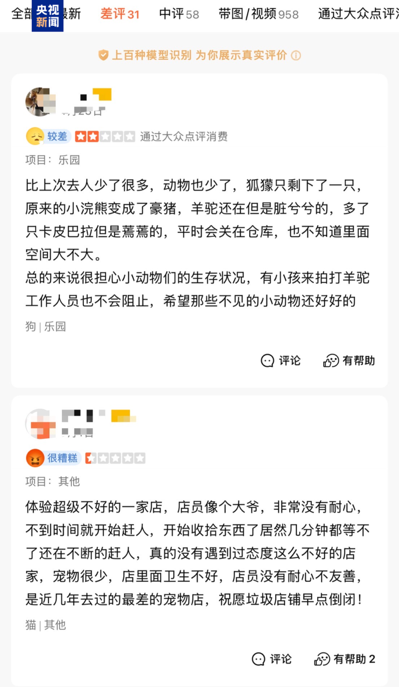 卡皮巴拉羊驼入驻商场写字楼 “萌宠馆”暗藏哪些隐患？