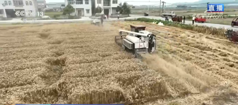 科技助力“三夏”开启“加速度” 广袤田野唱响丰收赞歌