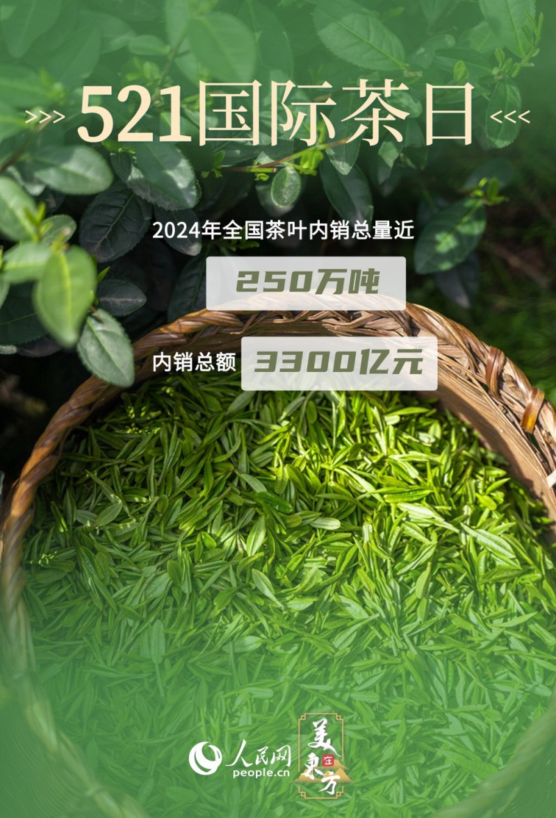 文化中国行 | 看"神奇绿叶"如何绽放经济文化双重光彩