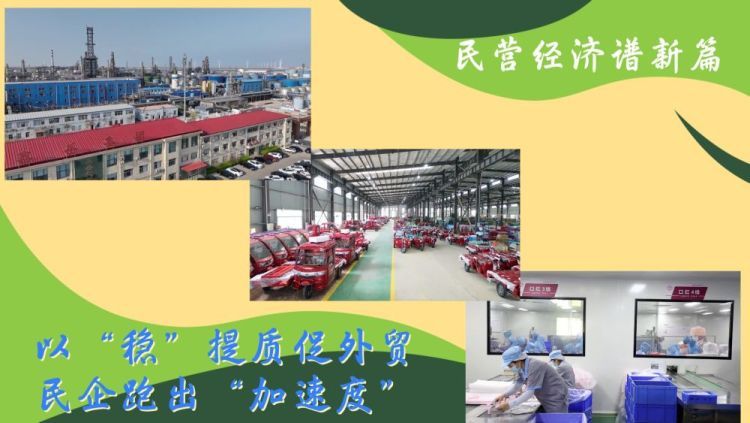 民营经济谱新篇｜以“稳”提质促外贸 民企跑出“加速度”