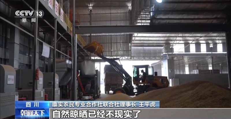 粮食减损出新招 小麦“即收即烘”不过夜