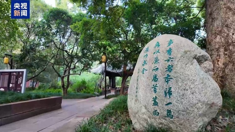 文化中国行丨从素炒豆腐到三苏文脉 千年家训解码家国情怀