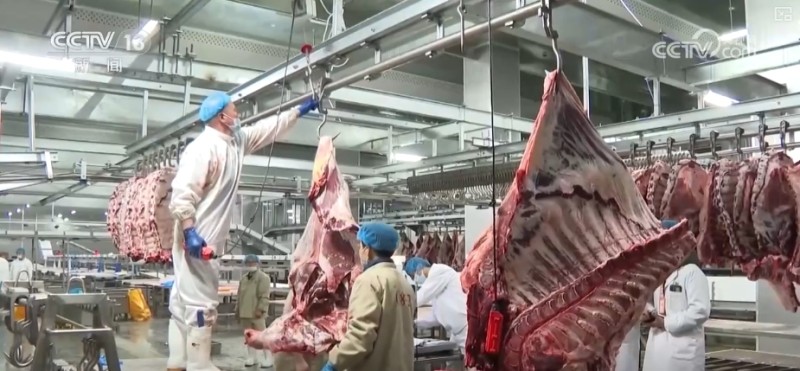 构建现代饲草产业 做好饲料“文章” 更好保障国家粮食安全与重要农产品供给
